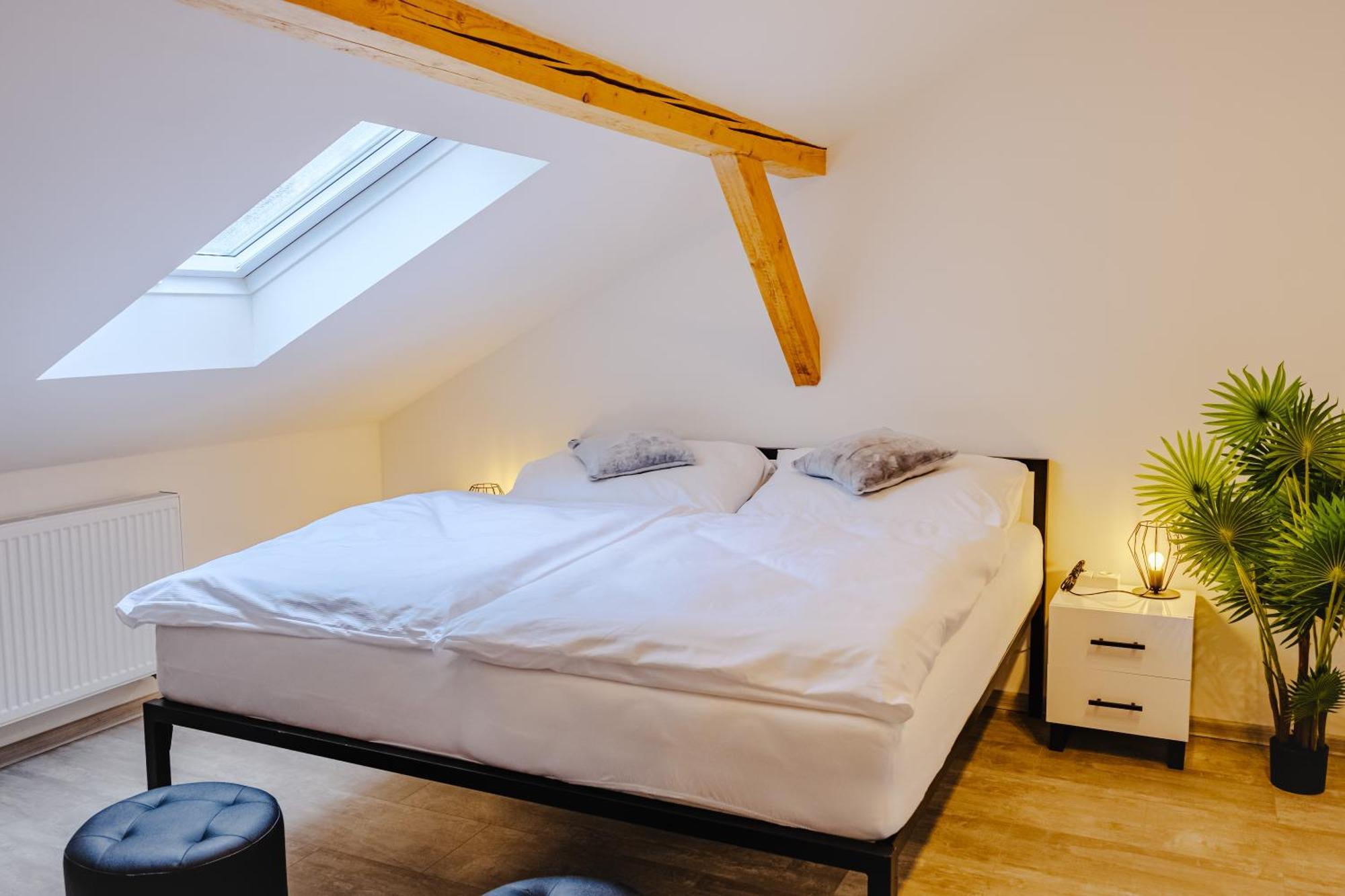 Rezidence Petra Voka Apartment Třeboň Екстериор снимка